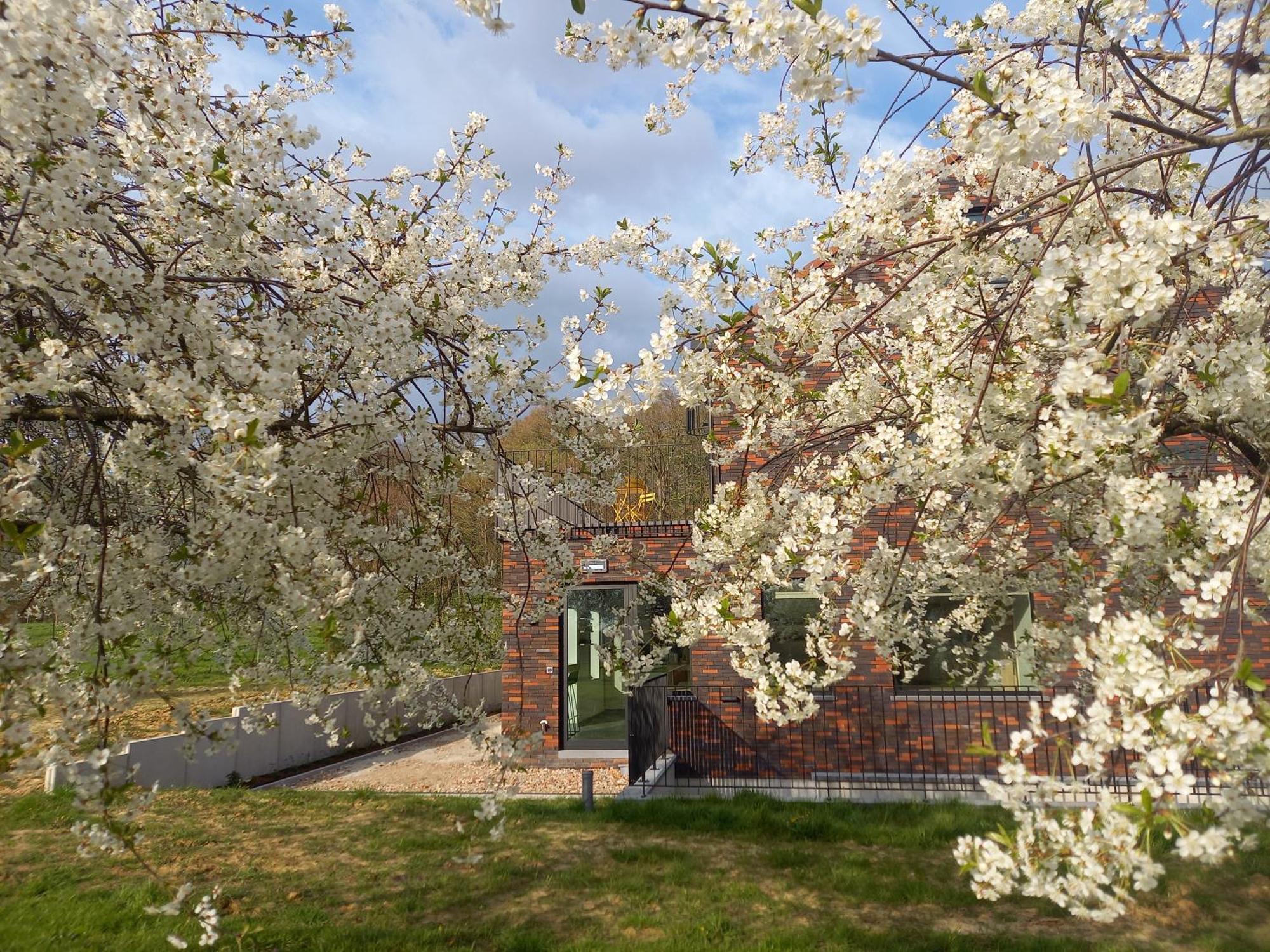 Gaasbeek Trionfo Bed & Breakfast エクステリア 写真